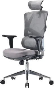 Fotel biurowy, krzesło biurowe Krzesło biurowe Angel Fotel ergonomiczny ANGEL biurowy obrotowy Dakota 2.0 Grafitowy - Fotele i krzesła biurowe - miniaturka - grafika 1
