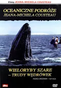 Filmy dokumentalne DVD - Imax - Oceaniczne podróże: Wieloryby szare: trudy wędrówek - miniaturka - grafika 1