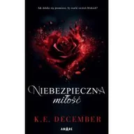 Literatura obyczajowa - Niebezpieczna miłość - miniaturka - grafika 1