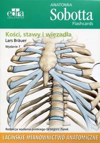 Edra Urban & Partner Anatomia Sobotta Flashcards Kości stawy i więzadła - Brauer Lars - Książki medyczne - miniaturka - grafika 2