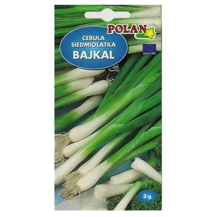 Cebula Siedmiolatka Bajkal 3g Mrozoodporna Nasiona - Nasiona i cebule - miniaturka - grafika 1