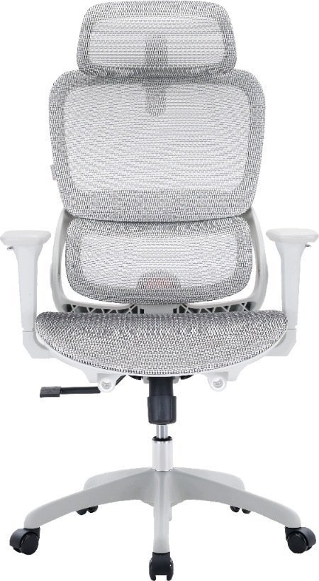 Sihoo Ergonomiczne B100 Mesh White B100-B102