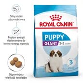 Sucha karma dla psów - ROYAL CANIN Giant Puppy 1kg | - miniaturka - grafika 1