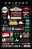 Plakaty - Plakat PYRAMID INTERNATIONAL, Friends - Infographic, 61x91 cm - miniaturka - grafika 1