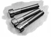 Śruby i nakrętki - M6x45 ŚRUBA IMBUS WALCOWA KWASOODPORNA inox nierdzewna A4 912 (10) - miniaturka - grafika 1