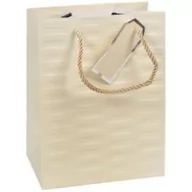 Opakowania i torebki na prezenty - CANPOL-ALBUMY I TOREBKI TOREBKA OZD 175X230 TW CAN TH-20 12098-uniw - miniaturka - grafika 1