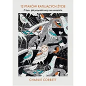 Literatura obyczajowa - 12 ptaków ratujących życie - miniaturka - grafika 1