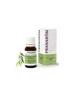 Aromaterapia - Olejek eteryczny eukaliptusowy Eukaliptus australijski  10ml PRANARÔM - miniaturka - grafika 1