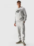 Spodnie sportowe męskie - Męskie spodnie dresowe joggery 4F 4FWMM00TTROM0942 - szare - miniaturka - grafika 1