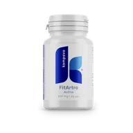 Stawy, mięśnie, kości - Fit Artro Aktiv 600 mg/60 kaps - miniaturka - grafika 1