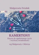 E-booki - poradniki - Kamertony. Klucze do spełnionego życia i wyższej świadomości - miniaturka - grafika 1
