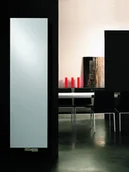 Grzejniki pokojowe - Vasco Niva Pionowa N1L1 Grzejnik pojedynczy 42x122 cm, biały 111910420122011889016-0000 - odbiór osobisty: Kraków, Warszawa, 29-Innych-Miast - miniaturka - grafika 1