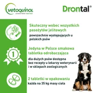 Pozostałe akcesoria dla psów - Bayer Drontal PLUS FLAVOUR dla psów pow.35kg 2tabl - miniaturka - grafika 1
