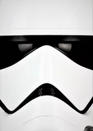 Plakaty - Face It! Star Wars Gwiezdne Wojny - New Order Trooper - plakat 40x50 cm - miniaturka - grafika 1