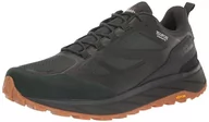Buty trekkingowe męskie - Jack Wolfskin Męskie buty trekkingowe Terraventure Texapore Low M, czarny/oliwkowy (Black Olive), 39.5 EU - miniaturka - grafika 1