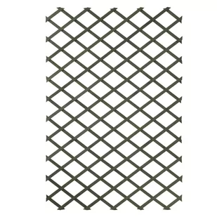 Nature Nature Kratki do pnączy 2 szt. 100 x 200 cm drewno zielone 276935 - Pozostałe akcesoria do uprawy roślin - miniaturka - grafika 1