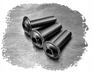 Śruby i nakrętki - M6X20 ŚRUBA IMBUS AMPULOWA DO OWIEWEK KOŁNIERZOWA NIERDZEWNA 7380F (10) - miniaturka - grafika 1