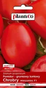 Nasiona i cebule - Pomidor gruntowy Chrobry F1 0.5 g PLANTICO - miniaturka - grafika 1