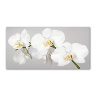 Obrazy i zdjęcia na płótnie - Foto obraz szkło hartowane Orchidea - miniaturka - grafika 1