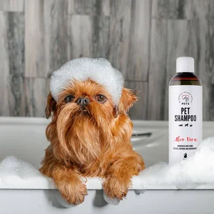 PET Shampoo Aloe Vera/Szampon Aloesowy 250ml Odżywczy i nabłyszczający + Pet Magic Mist - Magiczna Mgiełka do Sierści 250ml Łatwe rozczesywanie i odżywiona sierść - Szampony i odżywki dla psów - miniaturka - grafika 2