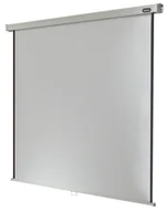 Ekrany projekcyjne - celexon Professional 280 x 280 cm manualny ekran projekcyjny 1:1 (150") - miniaturka - grafika 1