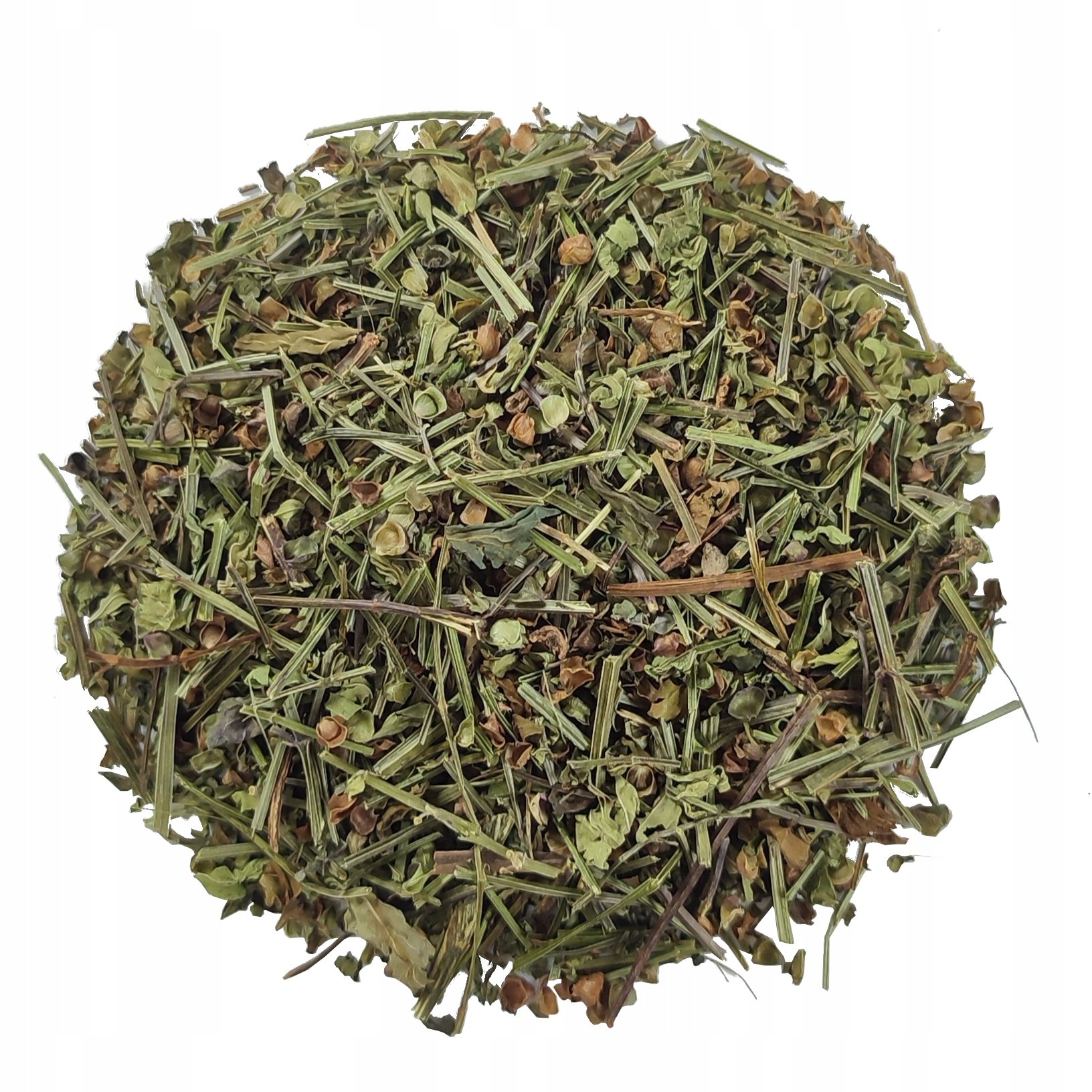 Tarczyca brodata ziele Scutellariae Barbatae Ban Zhi Lian 500g