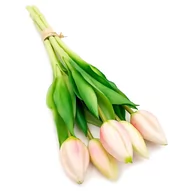 Sztuczne kwiaty - Tulipany silikonowe jak żywe różowe bukiet 5 sztuk gumowe nierozkwitnięte 28 cm - miniaturka - grafika 1