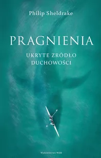 Pragnienia Philip Sheldrake - Religia i religioznawstwo - miniaturka - grafika 2