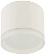 Lampy sufitowe - Spot sufitowy designerski tuba SILBA WHITE GX53 10476 Biały - miniaturka - grafika 1