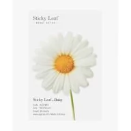 Szkolne artykuły papiernicze - Appree Karteczki samoprzylepne Stokrotka S 58x58 mm biały 20 kartek - miniaturka - grafika 1