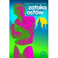 Literatura obyczajowa - Latarnik Tadeusz Olszewski Zatoka ostów - miniaturka - grafika 1