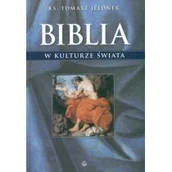 Religia i religioznawstwo - Biblia w kulturze świata - miniaturka - grafika 1