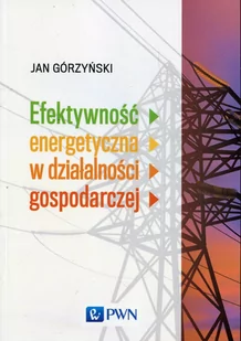 Wydawnictwo Naukowe PWN Efektywność energetyczna w działalności gospodarczej - Ekonomia - miniaturka - grafika 1