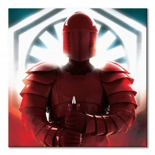Pyramid Posters Star Wars: The Last Jedi (Elite Guard Defend) - obraz na płótnie 40x40 WDC95950 - Obrazy i zdjęcia na płótnie - miniaturka - grafika 1