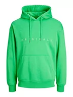Bluzy męskie - JACK & JONES PLUS Męska bluza z kapturem JORCOPENHAGEN Sweat Hood PLS, Island Green, 4XL, zielony, 4XL - miniaturka - grafika 1