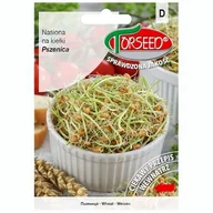 Nasiona i cebule - Pszenica, nasiona na kiełki 50g - Torseed - miniaturka - grafika 1
