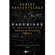 Nauka - Zagubione W Matematyce Fizyka W Pułapce Piękna Sabine Hosenfelder - miniaturka - grafika 1