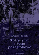 E-booki - religia - Spirytyzm i życie pozagrobowe - miniaturka - grafika 1
