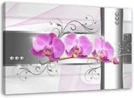 Obrazy i zdjęcia na płótnie - Obraz na płótnie, Storczyki kwiaty natura różowy 100x70 - miniaturka - grafika 1