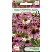 Nasiona i cebule - Rudbekia purpurowa mieszanka 90-100 cm W.Legutko - miniaturka - grafika 1
