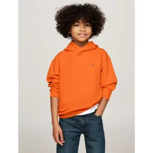 Tommy Hilfiger Bluza TIMELESS | Regular Fit - Bluzy dla chłopców - miniaturka - grafika 1