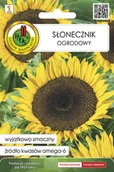 Nasiona i cebule - Słonecznik ogrodowy nasiona tradycyjne Pnos - miniaturka - grafika 1