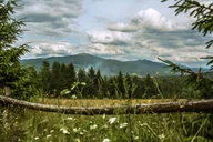 Plakaty - Galeria Plakatu, Plakat, Bieszczady Latem, 50x40 cm - miniaturka - grafika 1