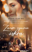 Romanse - Zanim zgaśnie iskra - miniaturka - grafika 1
