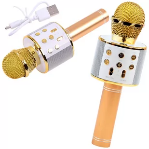 Mikrofon bezprzewodowy karaoke głośnik IN0136 - Zabawy w naśladowanie dorosłych - miniaturka - grafika 1