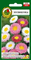 Nasiona i cebule - Suchołuska mix 1.5 g PNOS - miniaturka - grafika 1