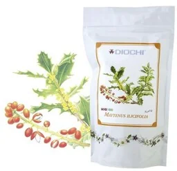 Diochi Maytenus Ilicifolia 150 g - Zioła - miniaturka - grafika 1