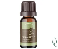 Zioła - Olejek EUKALIPTUS CYTRYNOWY Nanga 10ml - miniaturka - grafika 1