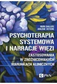 Technika - Psychoterapia systemowa i narracje więzi - Dallos Rudi, Arlene Vetere, Joanna Banach-Witkowska - miniaturka - grafika 1