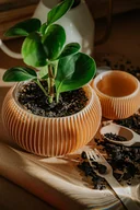 Donice - Średnia doniczka 71P01.500.OAK / eko / zero waste / minimalizm - miniaturka - grafika 1